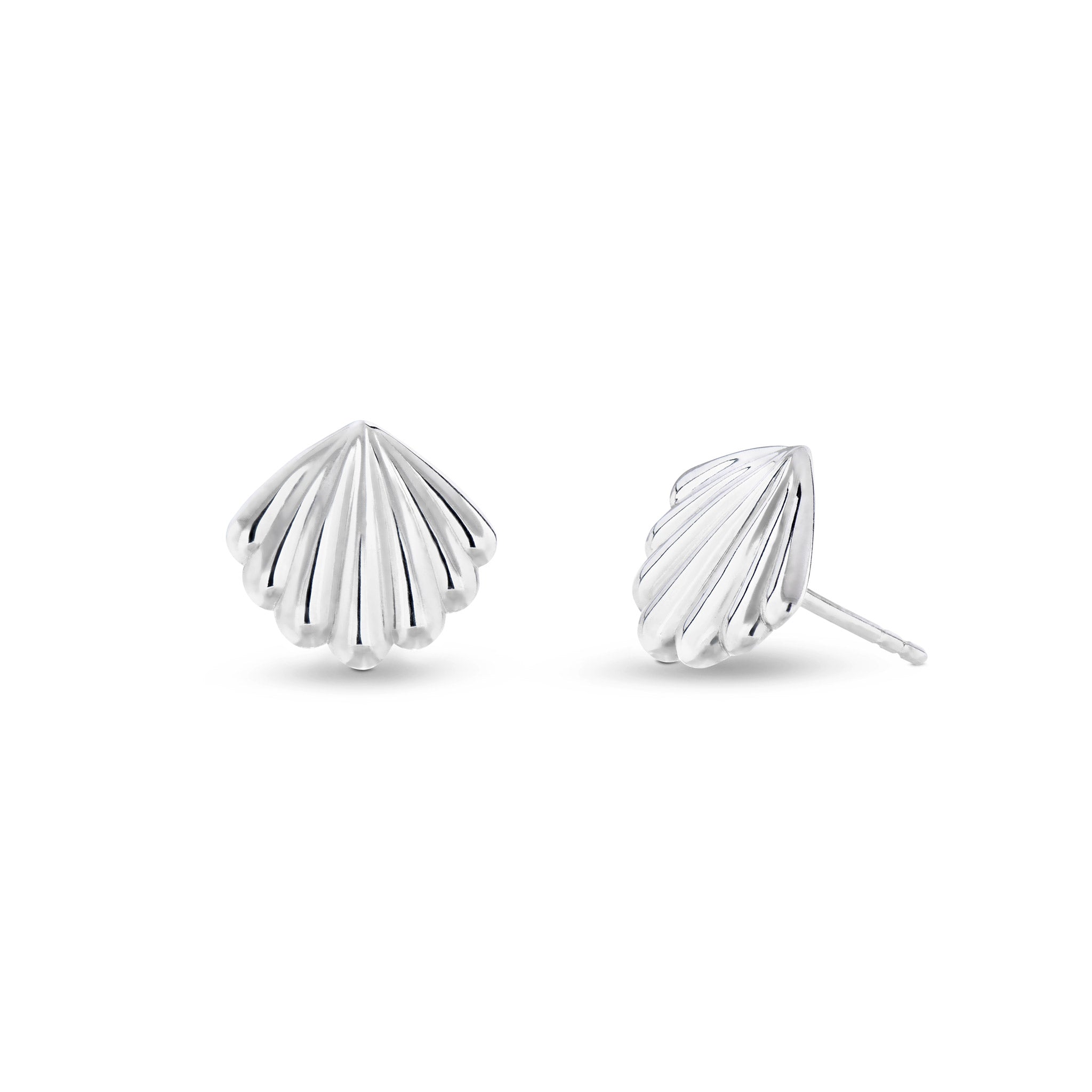 Scallop Studs