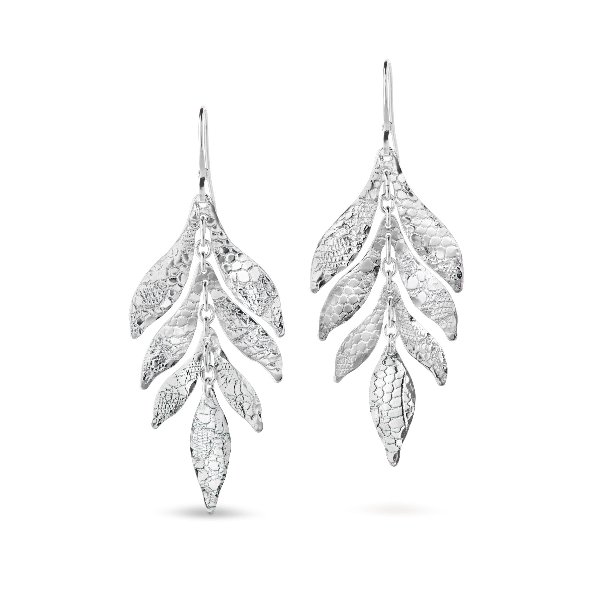 Lacewing